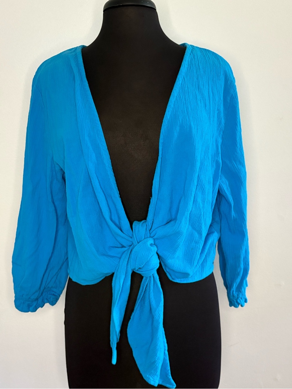 Chadwicks Bright Blue Tie-Front Crop Top XL